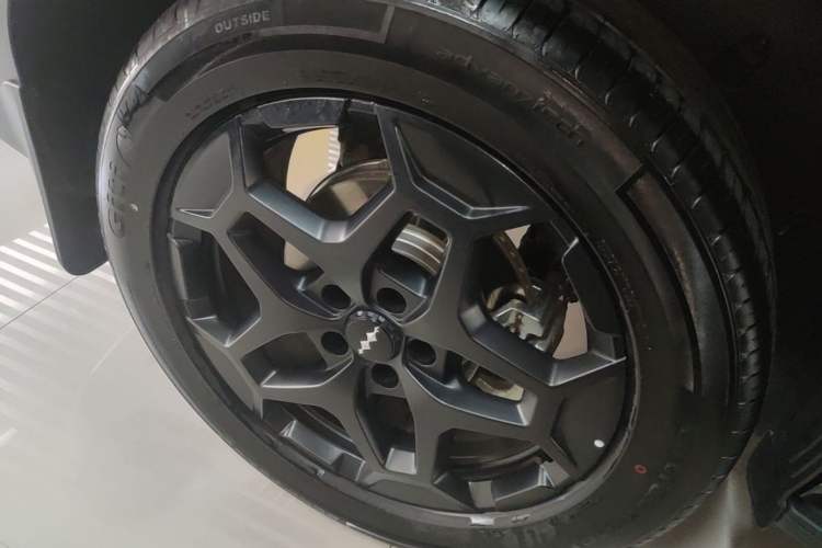 Used Formula Leopard Tai 7 2025 Model 190 km Four-Wheel Drive Ultra Edition