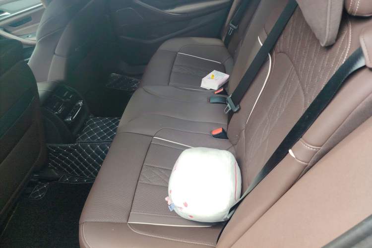 Used BMW 5 Series 2022 Revised Version 3 530Li Luxury Edition M Sport Package Left Rear Seat