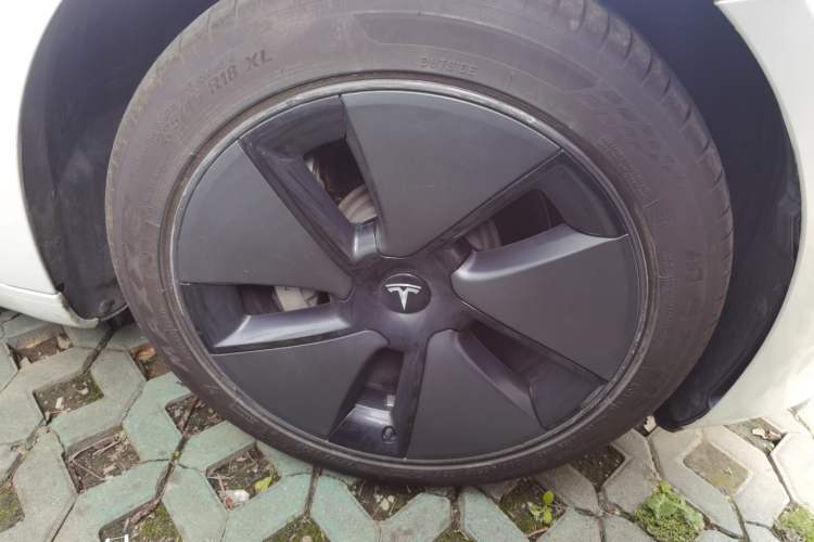 Used Tesla Model 3 2021 Standard Range Rear-Wheel Drive Upgraded Version 3D6