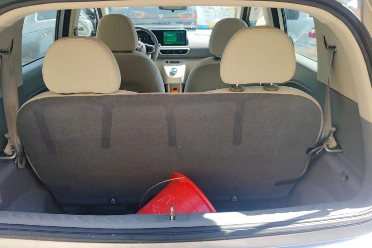 Used ORA White Cat 2020 360 km Luxury Version
