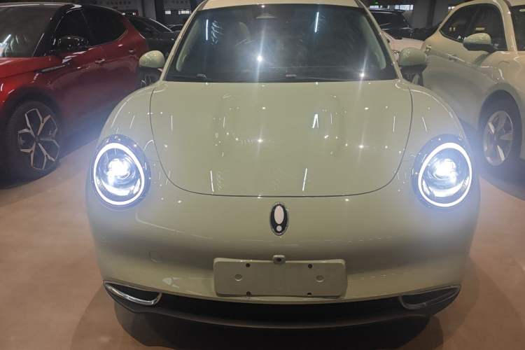 Used ORA Good Cat 2024 501 km Luxury Version Front