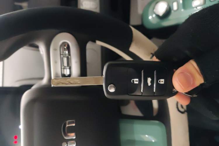 Used Qiyuan Lumin 2024 130km Qingyue Version