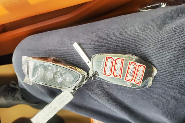 Used Haval Fierce Dragon Max 2025 Hi4 110 Pro