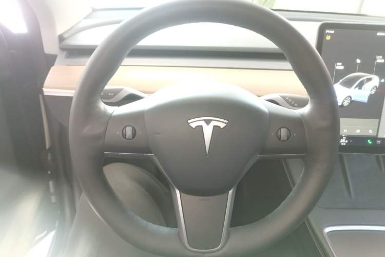 Used Tesla Model Y 2021 Standard Range Rear-Wheel Drive Version

