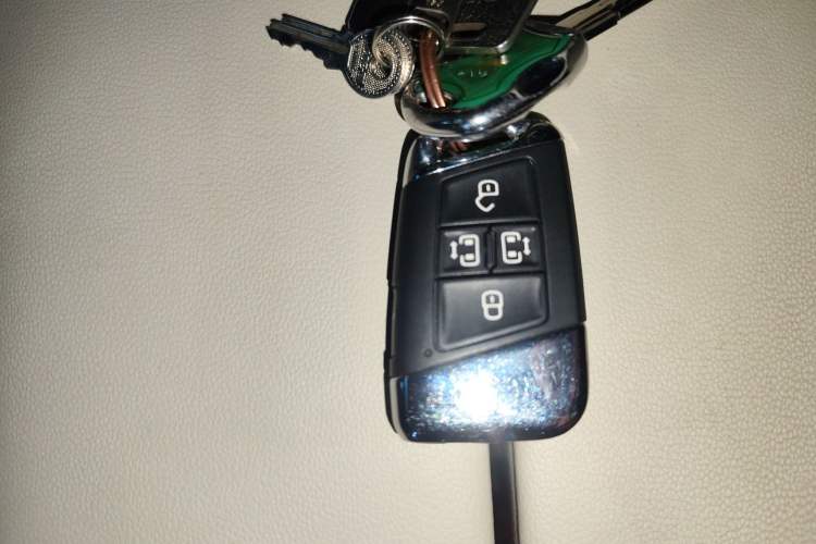 Used Volkswagen Viloran 2020 330TSI Luxury Edition