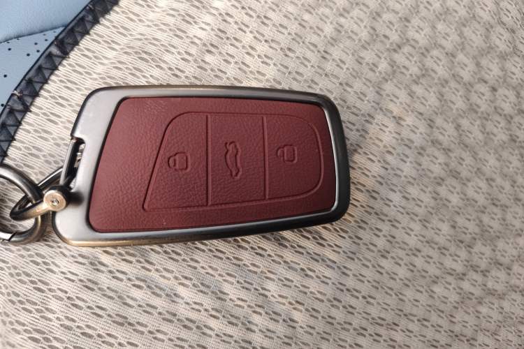 Used Chery Little Ant 2023 Updated Version 251 km Love Edition Lithium Iron Phosphate Vehicle Key