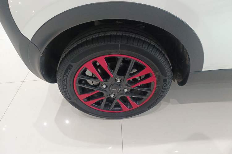 Used Chery Little Ant 2024 251km True Love Edition
