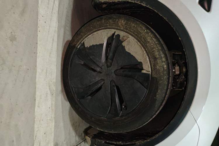 Used Tesla Model Y 2025 Rear-Wheel-Drive Version