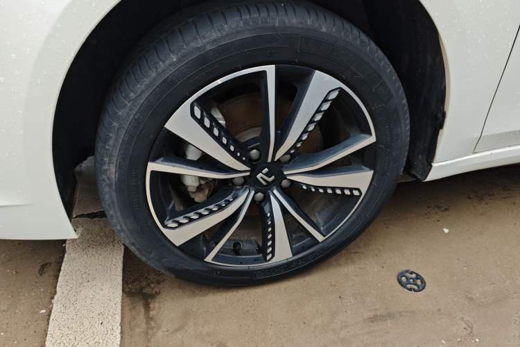 Used Rising ER6 2021 New Dynamic Edition 620km Smart Drive Version
