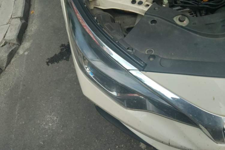 Used Venucia D60 2020 1.6L XE CVT Enjoyment Edition