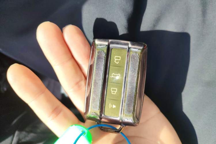 Used Tank 400 New Energy 2023 Hi4-T Super Edition Vehicle Key