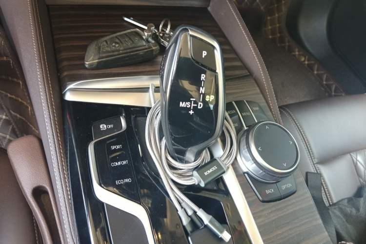 Used BMW 5 Series 2020 530Li Leading Edition Luxury Package