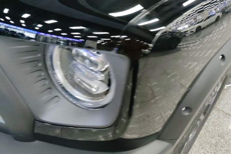 Used Haval DARGO 2024 2.0T DCT Chinese Rural Dog Edition
