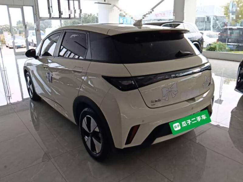 Used BYD Dolphin 2023 420 km Free Version — 4