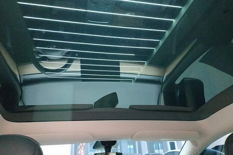 Used Tesla Model Y 2021 Performance High-Performance All-Wheel-Drive Version Headliner