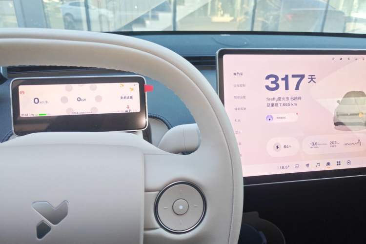 Used firefly 2025 Free Edition
