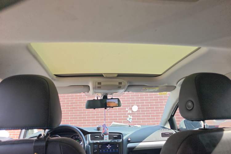 Used Volkswagen Golf Pure Electric 2020 Chari Headliner