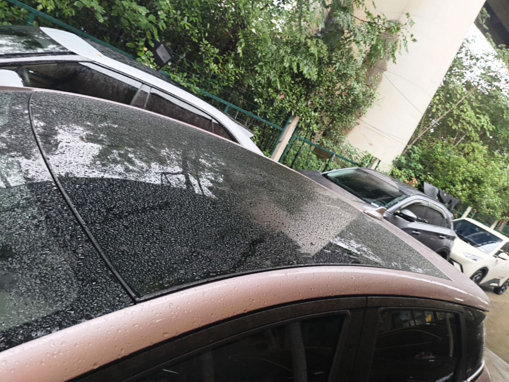 BYD Dolphin 2021 405 km Fashion Edition — снимка 7