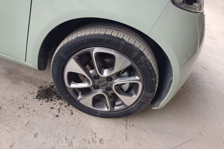 Used ORA White Cat 2020 305 km Luxury Version
