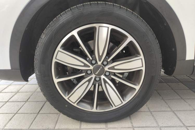 Used Haval H6 2021 1.5T Automatic Champion Edition Exterior 4