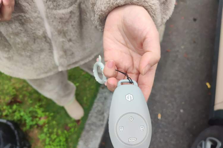 Used Leapmotor T03 2021 400 Luxury Edition
