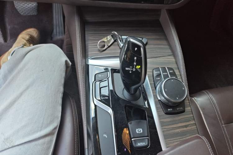 Used BMW 5 Series 2020 530Li Leading Edition Luxury Package