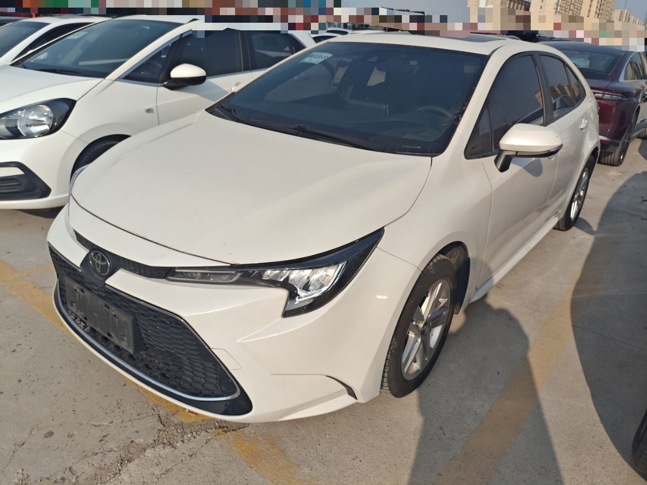 Parte inferior delantera