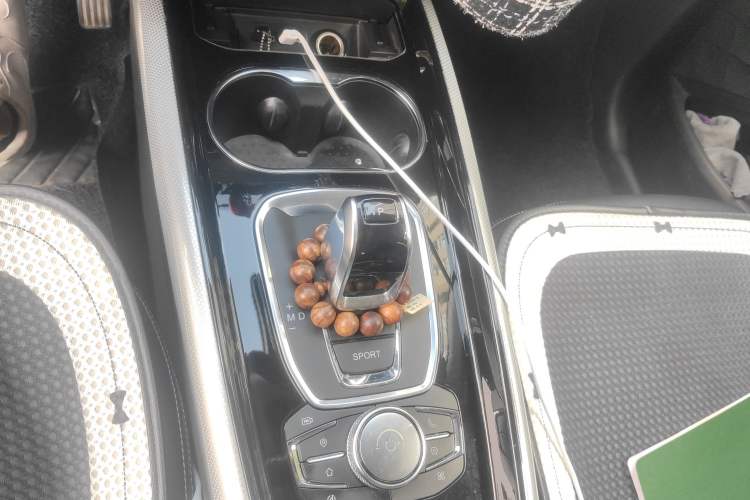 Used EXEED TX 2020 1.6T Two-Wheel Drive Star Edition
