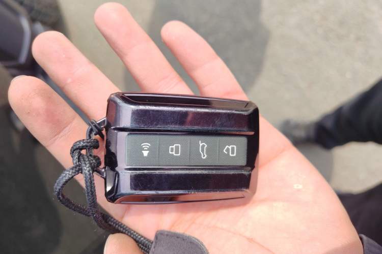 Used Tank 300 New Energy 2025 Hi4-T Vehicle Key