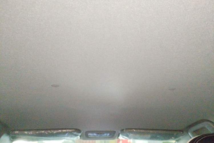 Used Toyota Vios 2019 1.5L CVT Comfort Edition Headliner