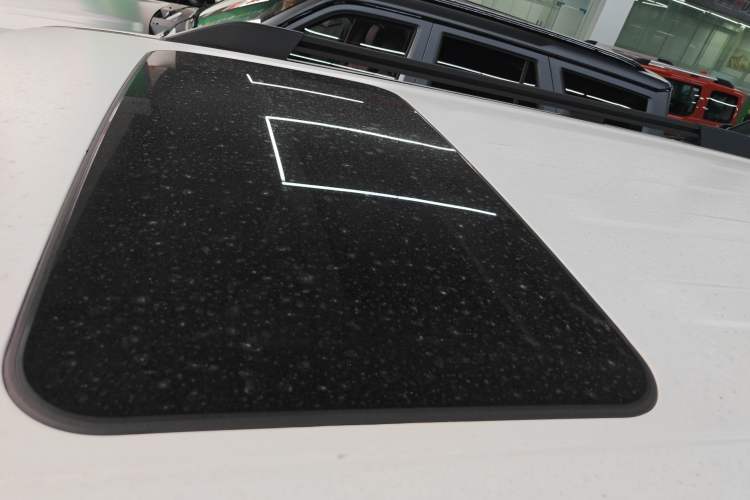 Used Tank 300 New Energy 2025 Hi4-T