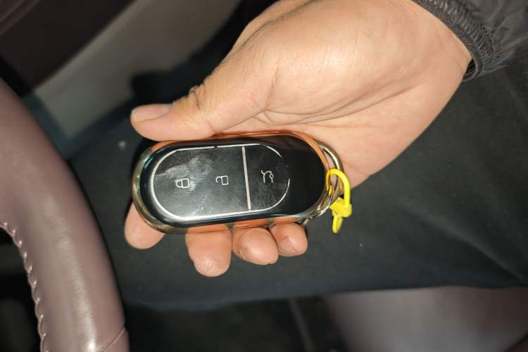 Used Leapmotor C11 2023 Pure Electric 500 Comfort Edition
