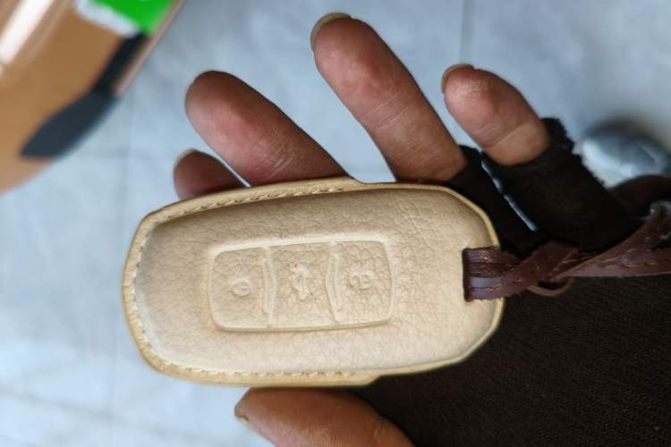 Used Geely Galaxy Panda 2024 Panda Mini 200km Endurance Bear Vehicle Key