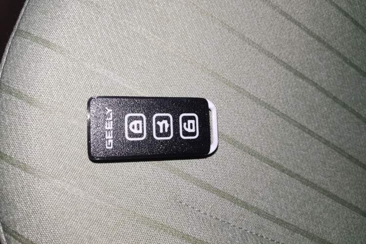 Used Geely Galaxy Panda 2023 Panda Mini 200km Endurance Bear
