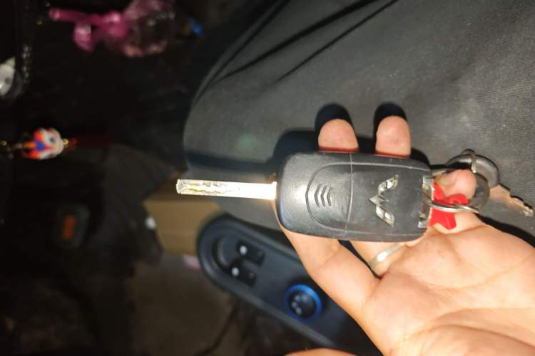 Used Wuling Hongguang MINIEV 2020 Enjoyment Model Lithium Iron Phosphate Vehicle Key