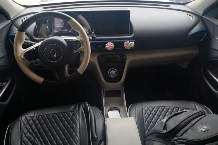 Used ORA White Cat 2020 305 km Luxury Version
