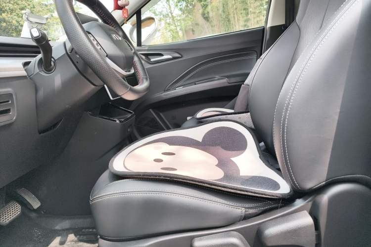 Used NETA V 2021 Long-Range Entertainment Edition