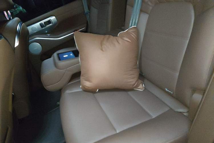 Used Tank 700 New Energy 2024 Hi4-T Extreme Edition Left Rear Seat