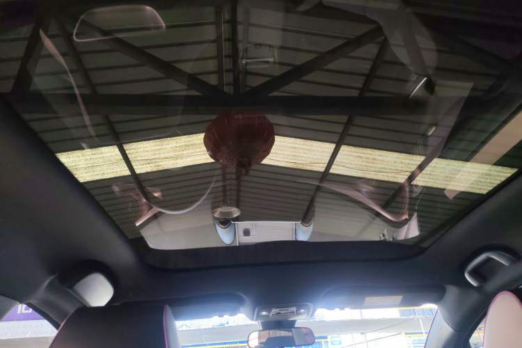 Used BYD Dolphin 2024 Honor Edition 420km Fashion Version Headliner