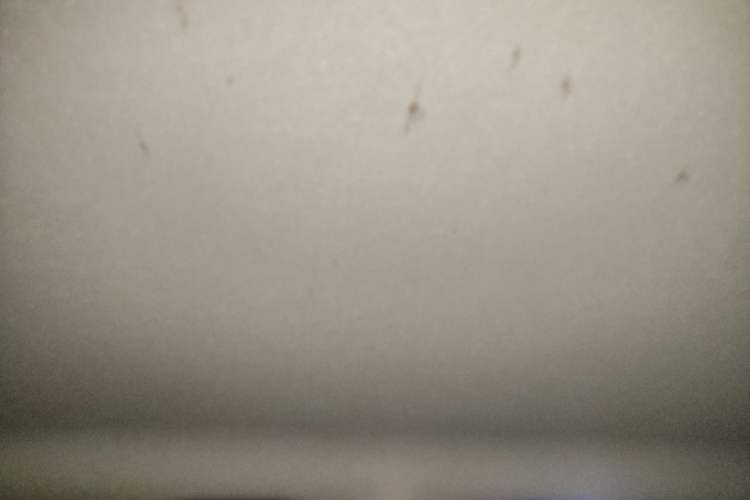 Used Volkswagen Santana 2016 1.4L Manual Fashion Edition Headliner