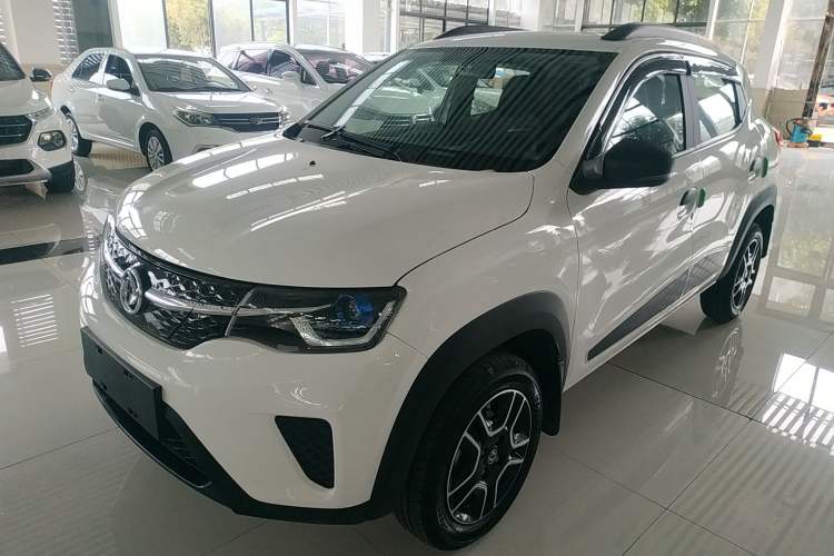 Used Dongfeng NAMMI EX1 2023 PRO Light Wind Edition Lightning Model