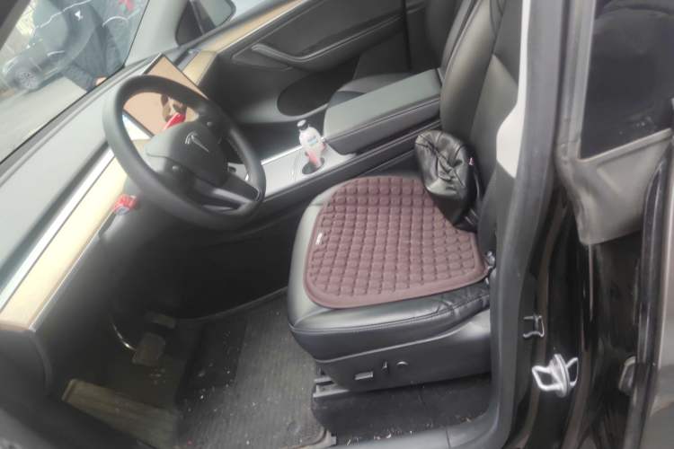 Used Tesla Model Y 2021 Revised Version 2 Long-Range All-Wheel-Drive Edition
