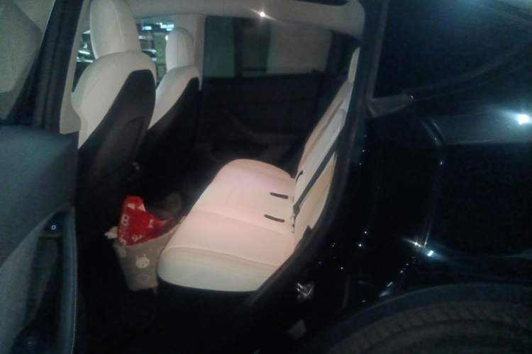 Used Tesla Model Y 2022 Long-Range All-Wheel-Drive Version Left Rear Seat