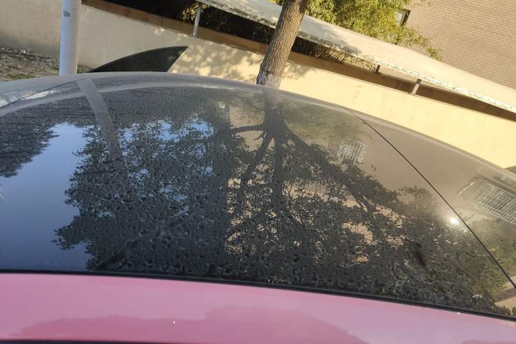 Used Tesla Model 3 2025 Rear-Wheel-Drive Version
