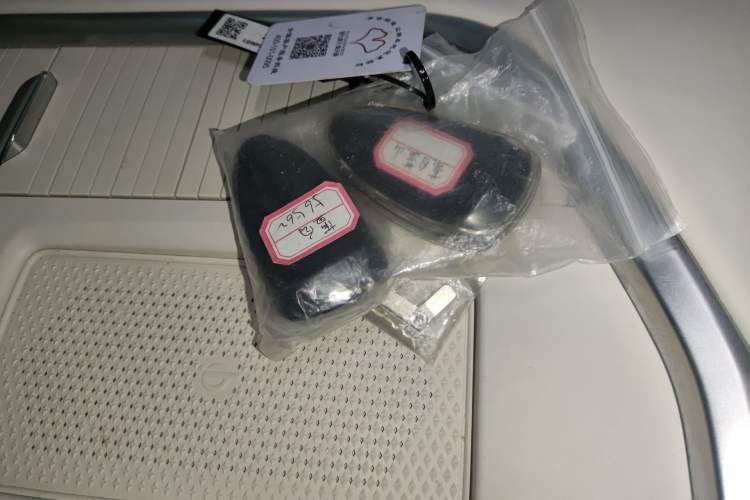 Used Wey Lanshan 2025 Four-Wheel Drive Max Vehicle Key