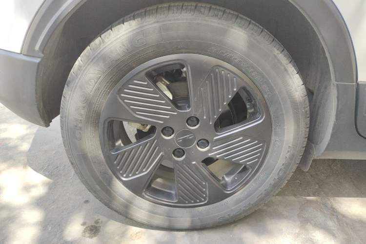 Used Geometry E Firefly 2022 320KM Cute Tiger 4-Seater