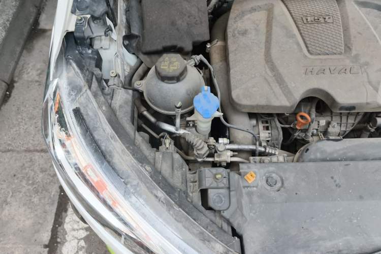 Used Haval LHERY 2022 Jingxiang Edition 1.5T Copper Rabbit