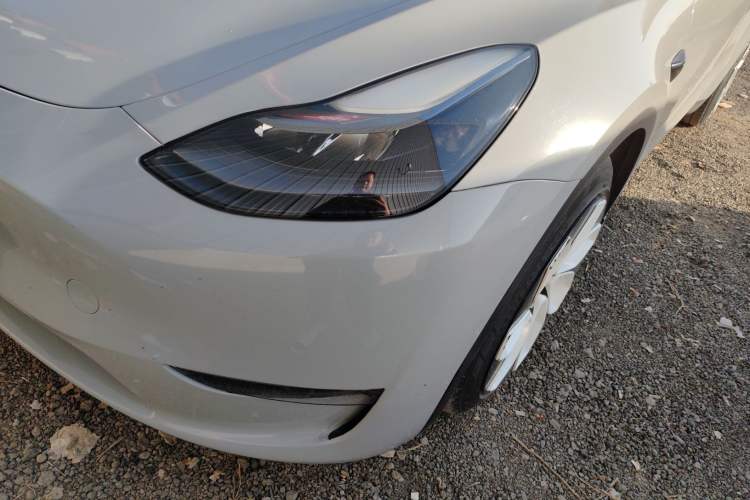 Used Tesla Model Y 2021 Standard Range Rear-Wheel Drive Version

