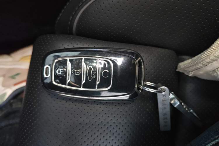 Used Hongqi H9 2020 2.0T Smart Connect Flagship Edition
