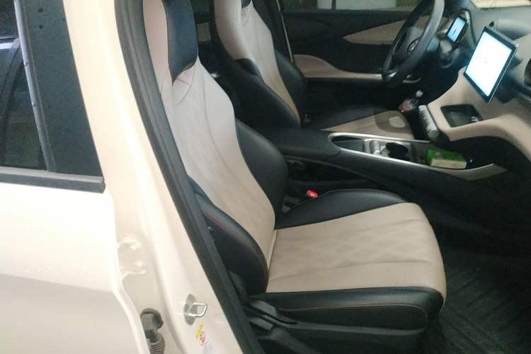 Used BYD Dolphin 2025 420km Active Version Right Front Seat